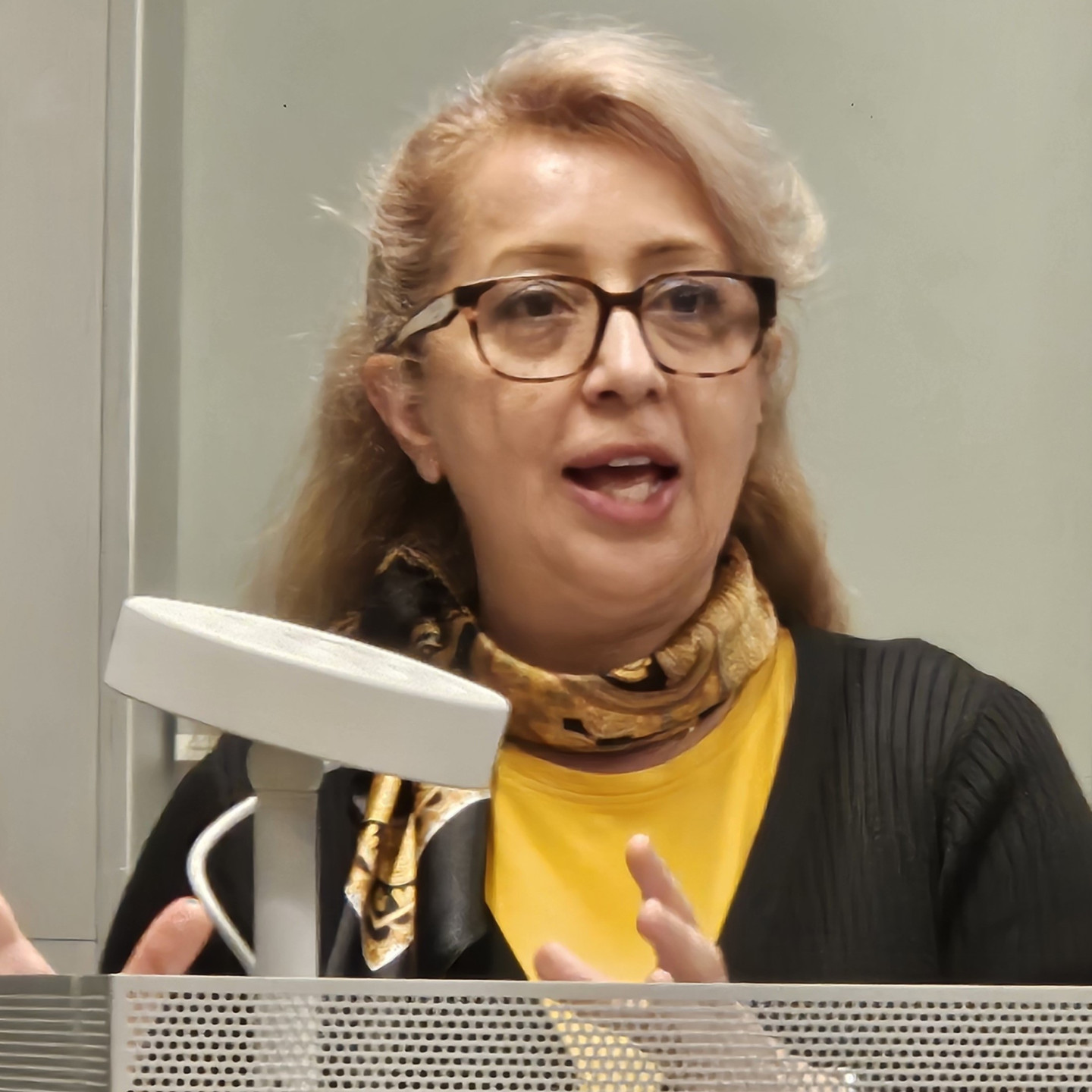 Mahsa Mahmoodzadeh